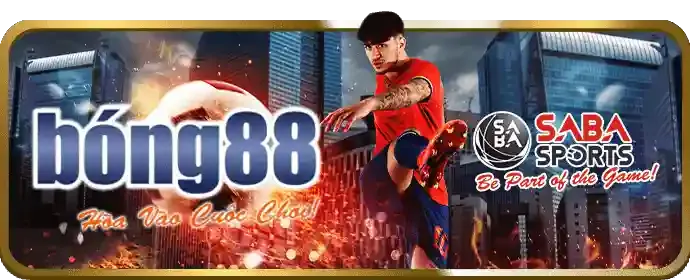 Dịch vụ bên thứ ba và cookie
