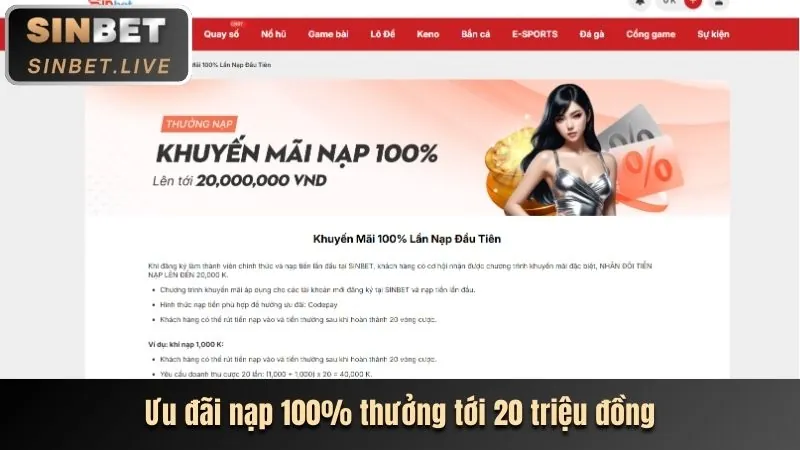 Cài đặt quản lý cookie